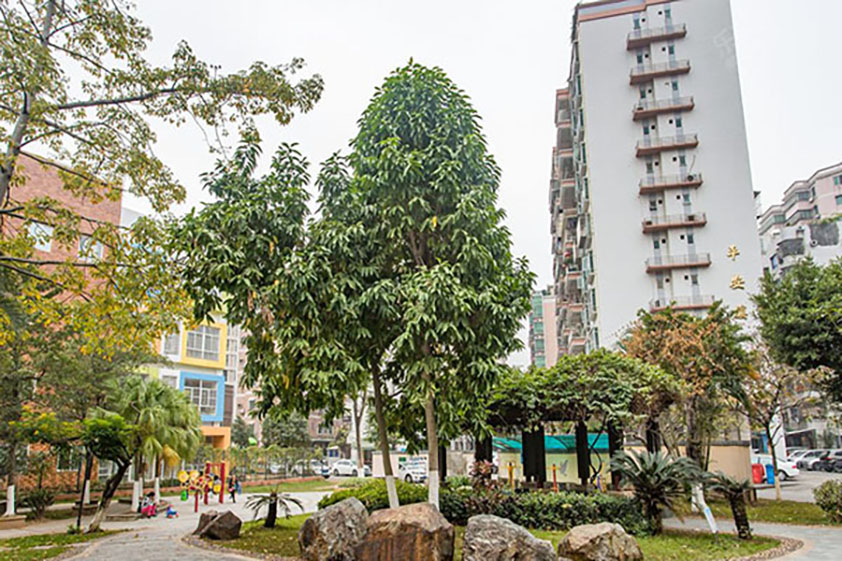 师宗天平苑小区